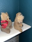 2 Vintage Koala Bear Genuine Kangaroo Skin Australia 5 1 2    Stuffed Toy