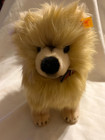 Steiff For Fao Schwarz Authentic Akc Series Pomeranian Plush Orange Tag 669040