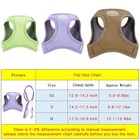 Breathable Small Dog Cat Harness And Leash Set Puppy Walking Vest Harness Xs s m