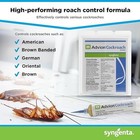 Genuine Advion Roach Killer   4 Pack   Cockroach Gel Bait Tubes   Plunger   Tips