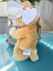 Ty Beanie Baby  hope  The Praying Bear With Rare Tag Errors Retired 1998