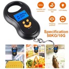 Digital Hanging Scale 50kg 110lb Lcd Backlight Luggage Fishing Weight 0 01kg