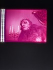 Vtg 1974 Frankenstein Monster From Hell 35mm Film Cell Slides Lot Hammer Cushing