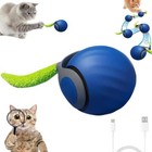 Speedy Tail Cat Toy 2 0 Interactive Bored Indoor Cats Automatic Moving Play Ball