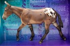 Breyer Alan A Days Work Breyerfest 2024
