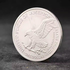 Neu 2026 1 Oz American Silver Eagle Coin Bu