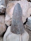 Rare Pharaonic Stela Of Tutankhamun   Authentic Ancient Egyptian Artifact Bc