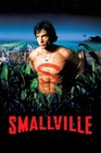 2001 Smallville Movie Poster 11x17 Clark Kent Superman Tom Welling Lex Luthor     