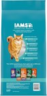 Proactive Health Indoor Weight Control   Hairball Care Adult Dry Cat Food  Chick