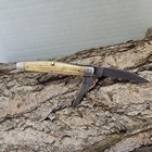 Vintage Queen Cutlery Two Blade Stag Knife Carbon Steel 3-1 4  1940 s - 1950 s
