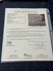 Jesse Owens 1936 Olympics Signed Photo Jsa Loa Action Shot Of Gold Medalist