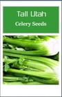 Tall Utah Celery Seeds    Non-gmo Celery Seeds   Fresh Heirloom Garden Seeds