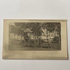 Antique Rppc Real Photograph Postcard Horse Pulling Buggy Everyday Farm Life