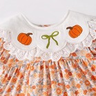 New Boutique Pumpkin Bows Embroidered Floral Tunic Baby Girls Outfit