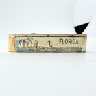Vintage Florida Souvenir Tie Bar  Mid Century Scenic Tie Clip  Palm Tree Pelican