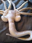 Alien  Xenomorph Facehugger Plush From The Alien Movie