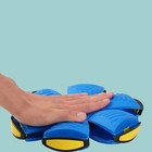 Pet Flying Saucer Ball Magic Outdoor Throw Disc Ball For Kids And Dog Interactiv