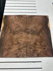 Walnut Burl Raw Wood Veneer 2 Sheets 17   X 10   916o