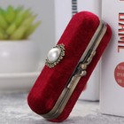 Lipstick Case With Mirror For Purse Vintage Velvet Bag Holder Travel