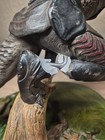 Predator The Berserker Yautja Maquette Fixed Statue Sideshow Collectibles 17 l