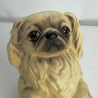 Beswick Matte Porcelain Begging Pekinese Dog 5 5  Figurine England