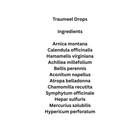 Traumeel S Pain Relief Anti-inflammatory Heel 100 Ml Drops - Ships From Usa