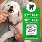 Greenies Original Teenie Natural Dental Dog Treats Pack Of 130