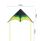 Large Delta Beach Kite For Adults   Kids     Easy To Fly  100m String Included