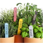 Culinary Herb Seed Packet Collection 12 Individual Varieties Of Herb Seeds