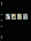  6 85 Scott Value - 1990 Falkland Isl Albatrosses Birds Antarctic Cv Mnh Nh Umm