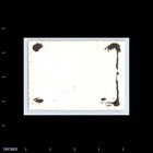 Old Vintage Photo Man Women Standing Outside Street Scene