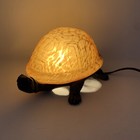 Meyda Turtle Lamp Amber Mottled Glass Cast Metal Base Tortoise Night Light  4  H