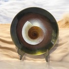 Norman Brumm Enamel On Copper Decorative Plate Seashell 7 75   