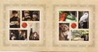 U s  Comm Booklet Of 20 Scott bk307a 2013 Harry Potter Imp No Die Cuts Mnh