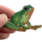 Frog Embroidered Patch Iron Sew On Clothes Bag Hat Animal Toad Embroidery Badge