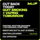 Nicotine Gum 4mg  Fruit Freeze Flavor  20 Count  Quit Smoking Aid