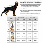 Big Service Dog Harness Vest Reflective Collar W  Patches Do Not Pet In Training