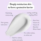 Chamois Butt r Eurostyle Anti-chafe Cream  10-pack Of  Assorted Styles   Sizes 