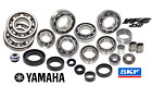 01-13 Yz250f 250 Wr250f Bearings Crank Trans Motor Engine Bottom End Bearing Kit