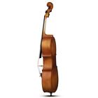 Full Side 4 4 Matte Natural Color Spruce Panel Cello With Bag Case Strings