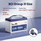 12v 100ah Lifepo4 Battery With Low Temperature Cut Off Protection For Rv Marine