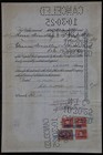 Elgin National Watch Co Stock Certificate  81 Shares  1921