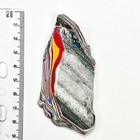 Dvh Kenworth Truck Fordite Polished Face Specimen Chillicothe Ohio Ass   6989 