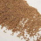 Unscented Ground Black Walnut Shells By Galaxy Notions