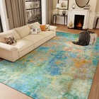 Orhopui Area Rug Retro Machine Washable Stain Imitation Cashmere Sponge Colorful