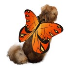 Puoyis Butterfly Wings Costume Yellow Medium