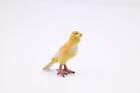 Original 1900s Antique Cold Painted Austrian Vienna Bronze Of A Yellow Cannery