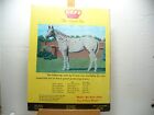 Vintage Appaloosa News Magazine Original November     December 1972