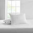  2 Pack  Sertapedic Won t Go Flat Bed Pillow  Standard queen