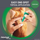 Frontline Plus Flea   Tick Treatment For Cat And Kitten Over 1 5 Lbs 6 Treatment
